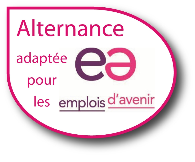 Visuel portant le message « Alternance adaptée pour les emplois d'avenir » avec le logo « ea emplois d'avenir ».