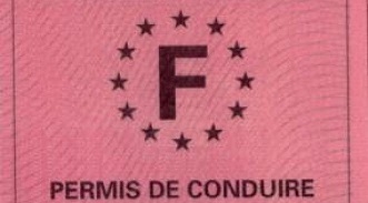 Permis de conduire français rose photographié en gros plan.