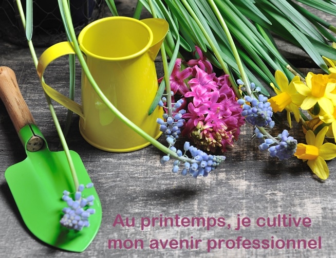 Affiche printanière composée d’un arrosoir jaune, d’une petite pelle verte et de fleurs colorées, avec le texte « Au printemps, je cultive mon avenir professionnel ».