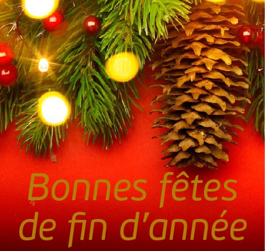Branche de sapin décorée avec une pomme de pin, des baies rouges et des guirlandes lumineuses sur fond rouge.