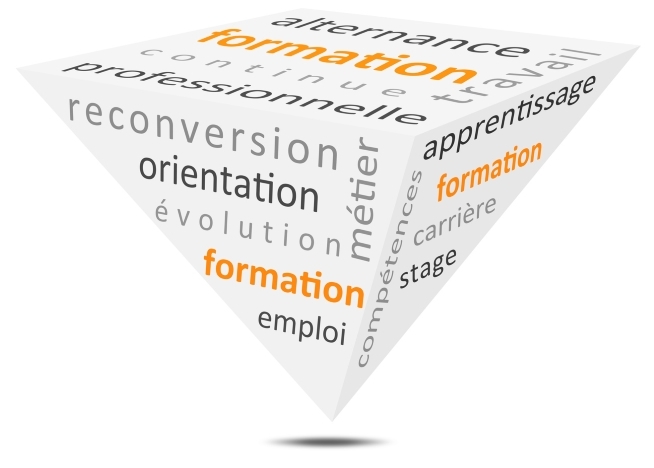 Illustration en forme de pyramide inversée composée de mots liés à la formation et à l'emploi, dont « formation », « reconversion », « orientation » et « alternance ».