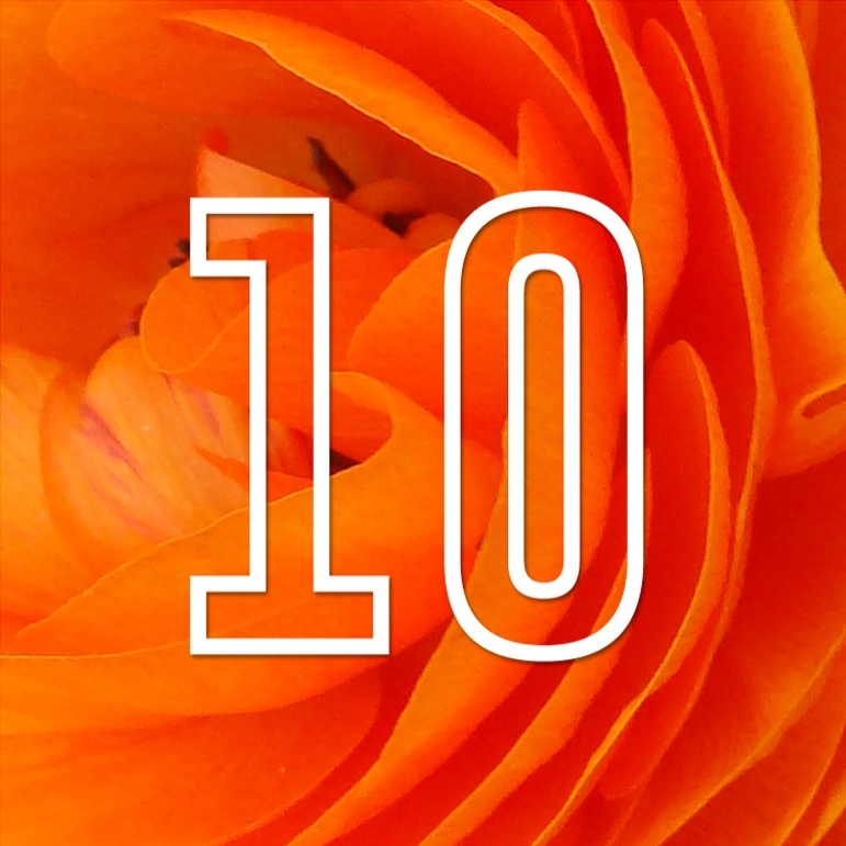 Nombre 10 blanc sur fond orange représentant des pétales de fleur en gros plan.
