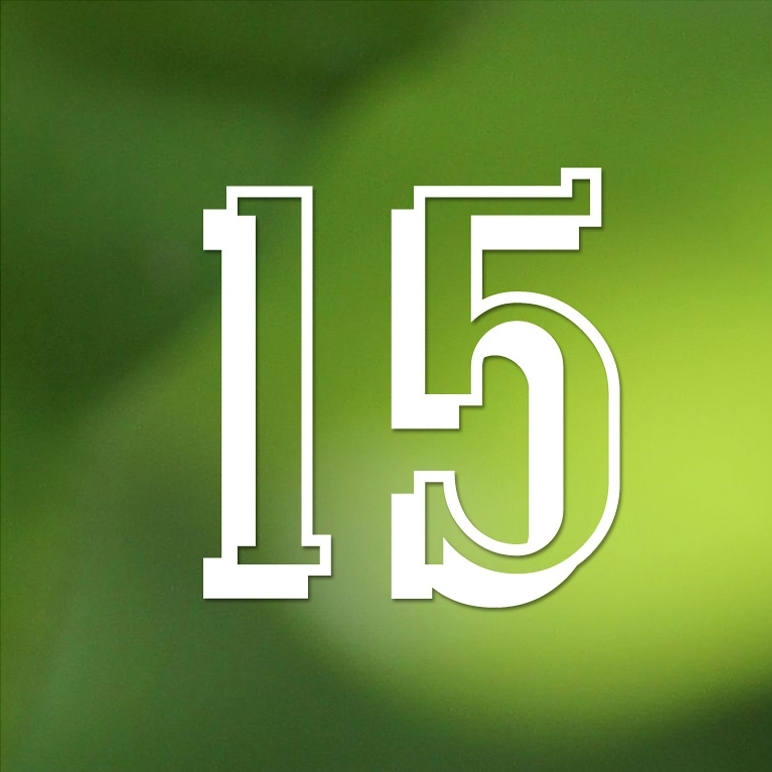 Nombre 15 blanc sur fond vert dégradé.