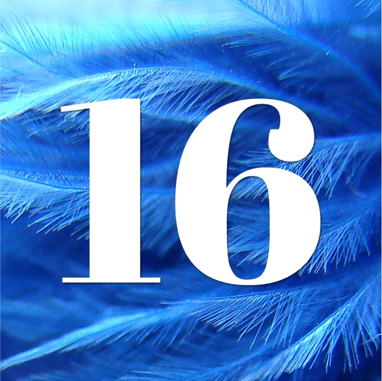 Nombre 16 blanc sur fond bleu composé de plumes.