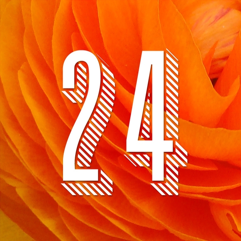 Nombre 24 blanc sur fond orange composé de pétales de fleur.