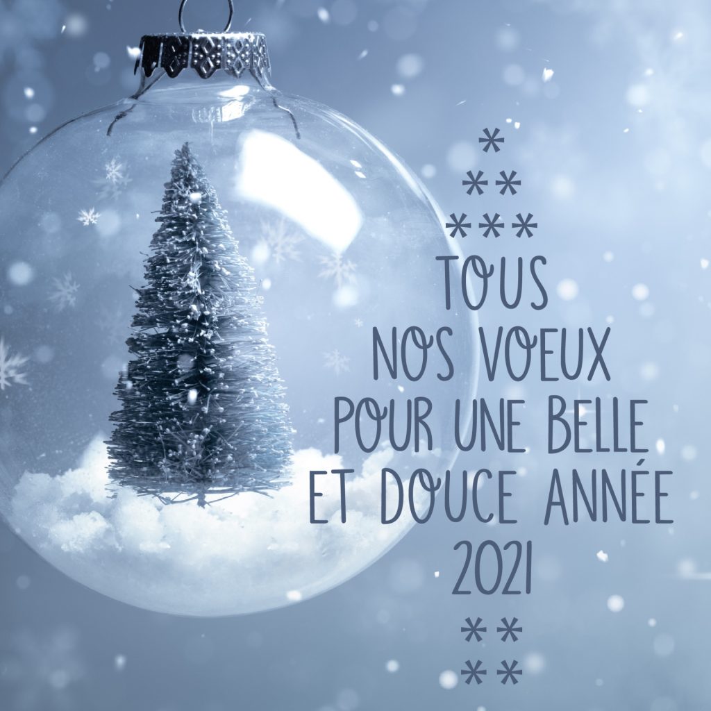 Carte de vœux sur fond bleu hivernal montrant une grande boule de Noël transparente suspendue par un anneau métallique. À l'intérieur de la boule se trouve un petit sapin enneigé posé sur un lit de neige blanche. Des flocons et particules blanches tombent dans l'image. À droite figurent les mots « TOUS NOS VŒUX POUR UNE BELLE ET DOUCE ANNÉE 2021 » accompagnés de motifs décoratifs en forme d'astérisques.