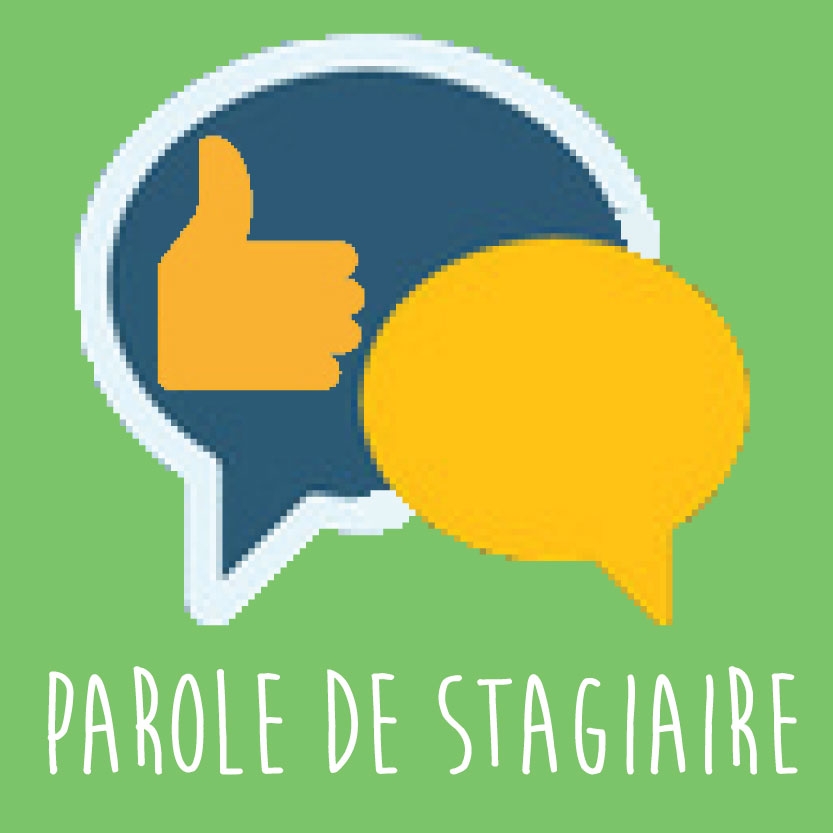 Illustration sur fond vert clair représentant deux bulles de dialogue superposées. La première bulle, bleue avec un contour blanc, contient un pictogramme de pouce levé jaune. La seconde bulle, jaune, est placée devant la première. Sous les pictogrammes figure le texte « PAROLE DE STAGIAIRE » écrit en lettres blanches manuscrites.
